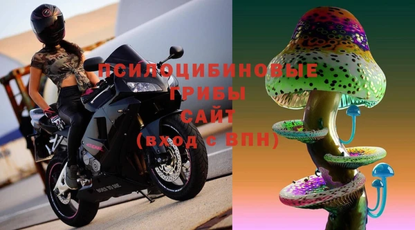 круглые Аркадак