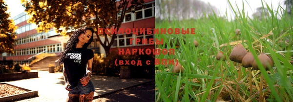 круглые Аркадак