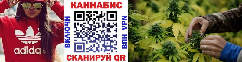 Шишки марихуана SATIVA & INDICA  где можно купить   Красный Кут 